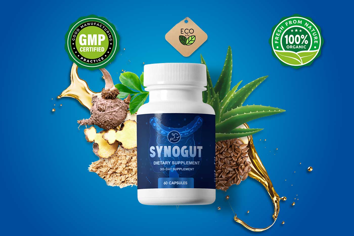 SynoGut dietary supplement reviews
